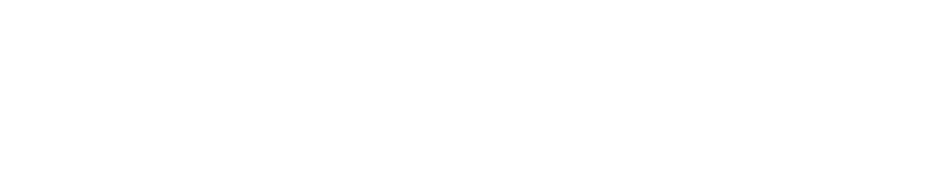 State Fencing Logo - White